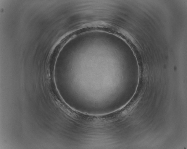 X0000071770923200606301151