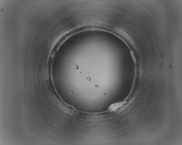 X0000071770924200606301151