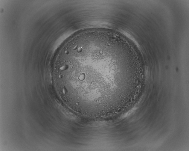 X0000071770925200606301151