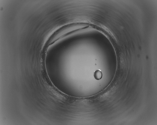 X0000071770926200606301151