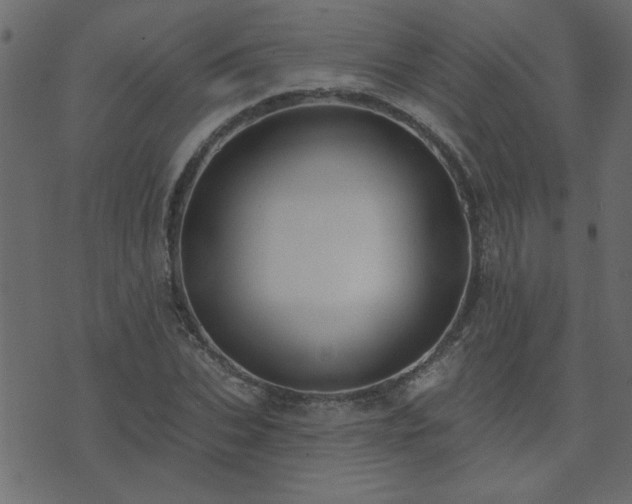 X0000071770927200606301151