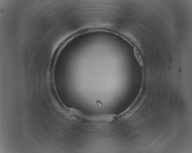 X0000071770928200606301151