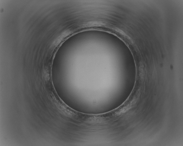 X0000071770929200606301151