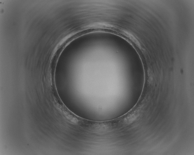 X0000071770931200606301151