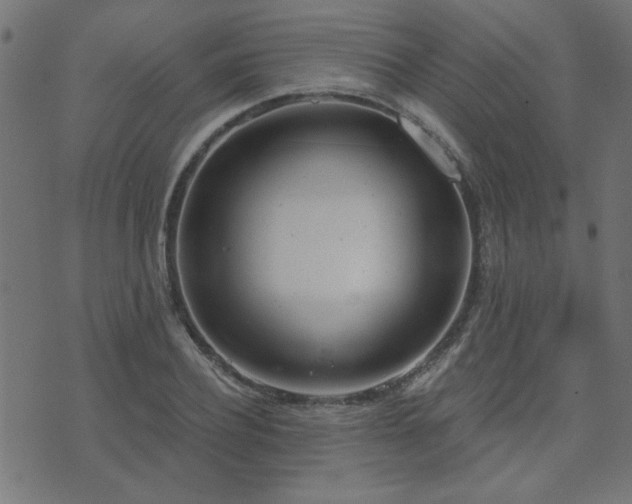 X0000071770932200606301151