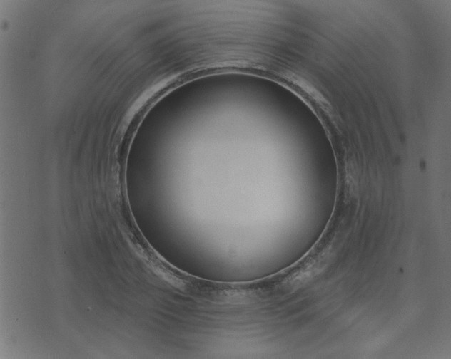 X0000071770933200606301151