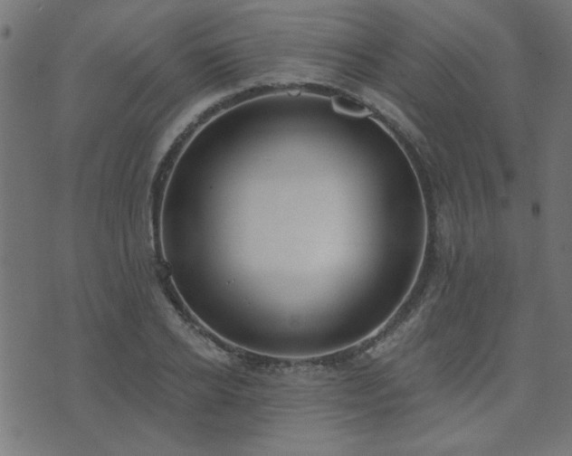 X0000071770934200606301151