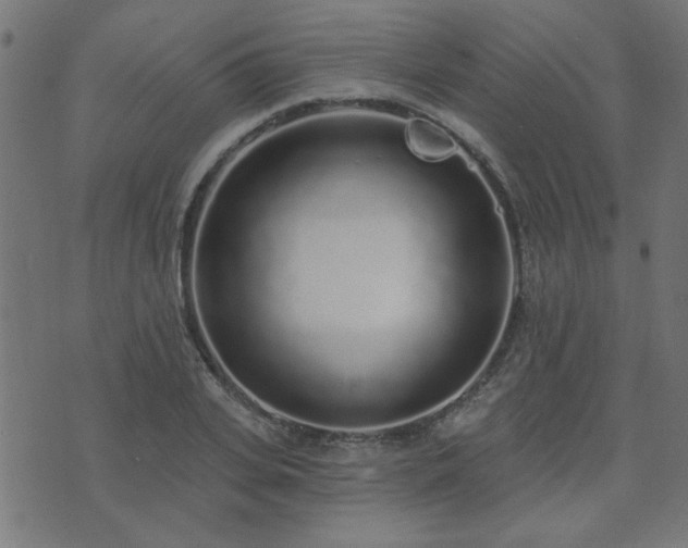 X0000071770935200606301151