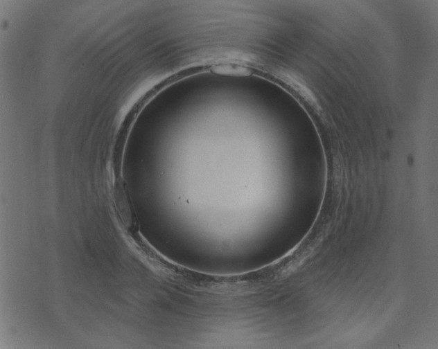 X0000071770936200606301152