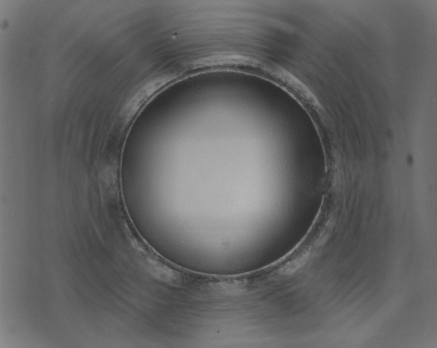 X0000071770937200606301152