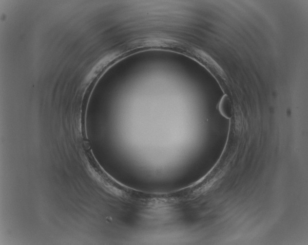 X0000071770938200606301152