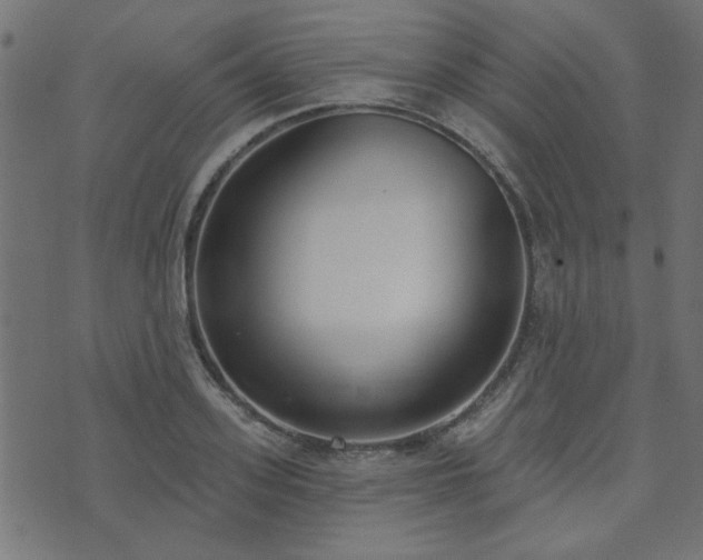 X0000071770939200606301152