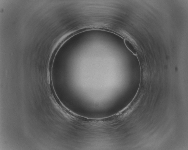 X0000071770940200606301152