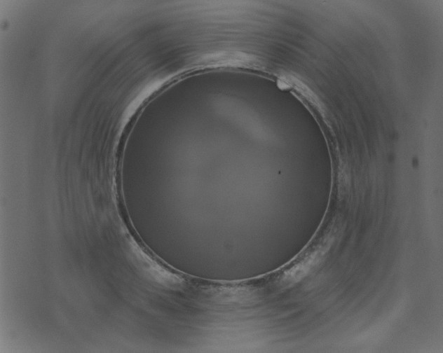 X0000071770941200606301152