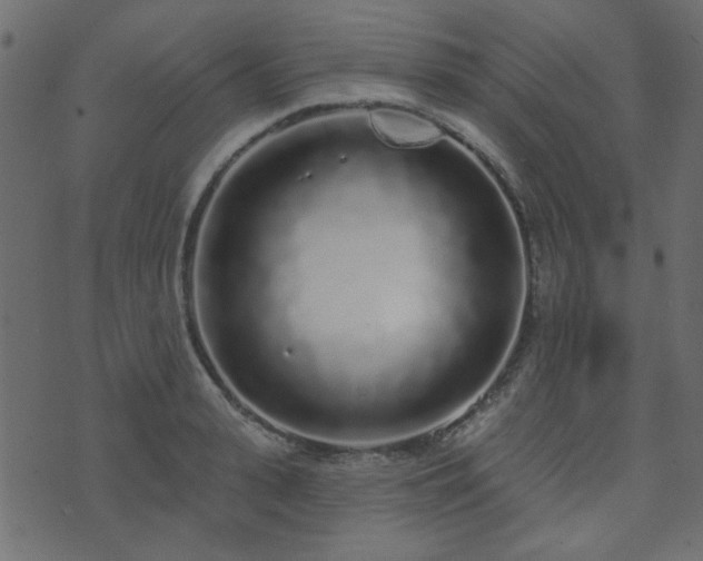 X0000071770943200606301152