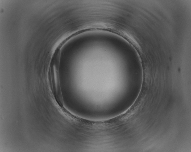 X0000071770944200606301152