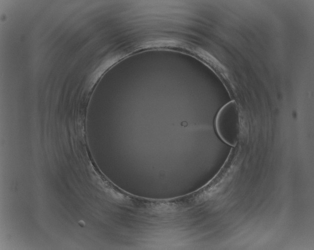 X0000071770945200606301152