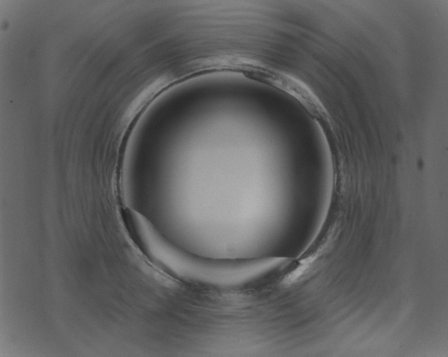 X0000071770946200606301152