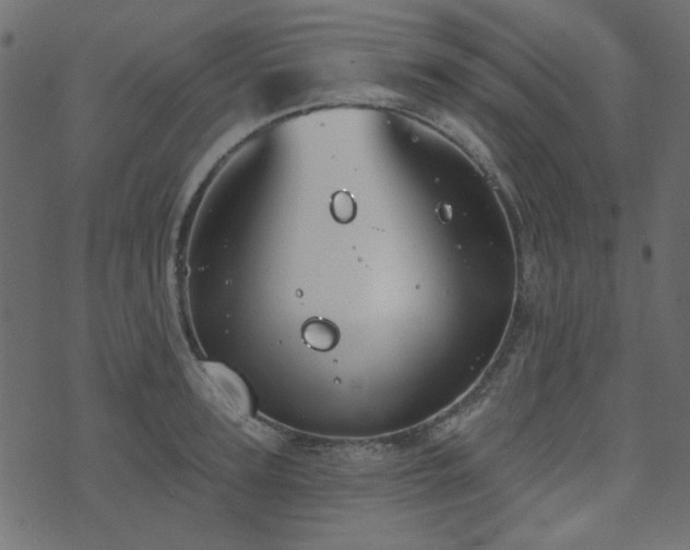 X0000071770947200606301152