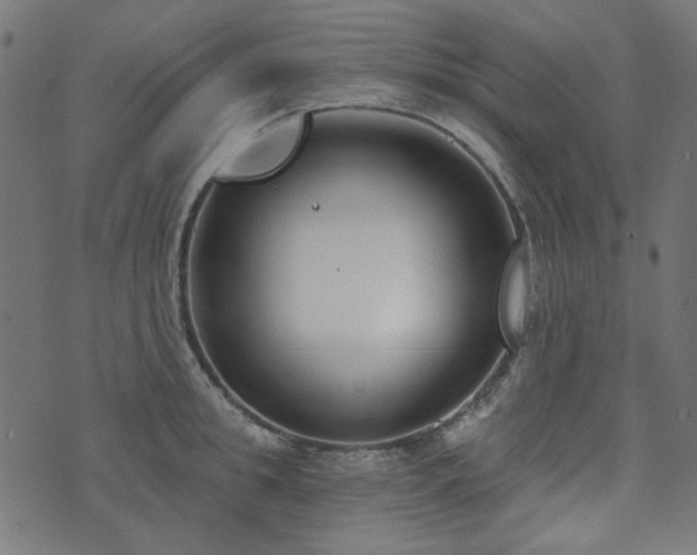 X0000071770949200606301152