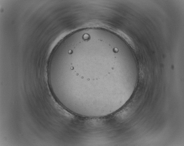 X0000071770950200606301152