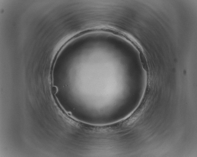 X0000071770951200606301152