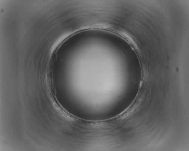 X0000071770952200606301152