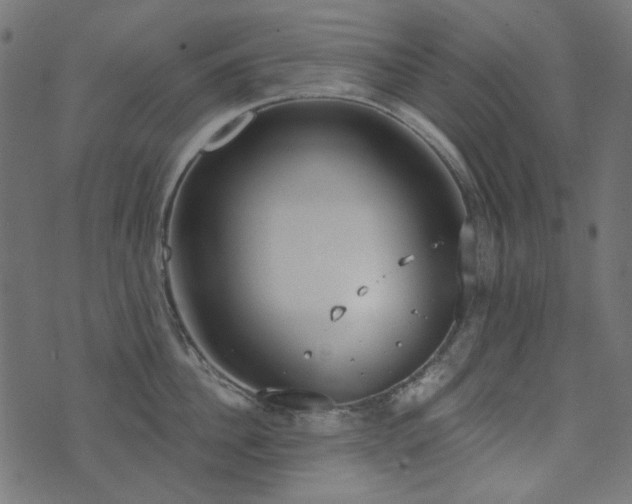 X0000071770956200606301152