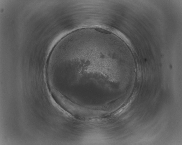 X0000071770958200606301152