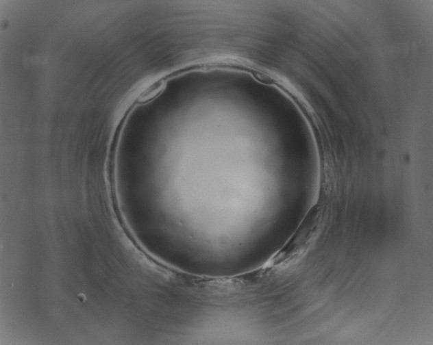 X0000071770959200606301152