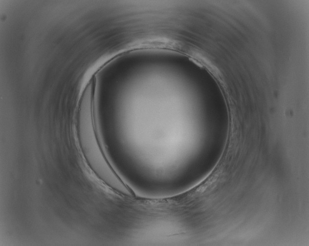 X0000071770960200606301152