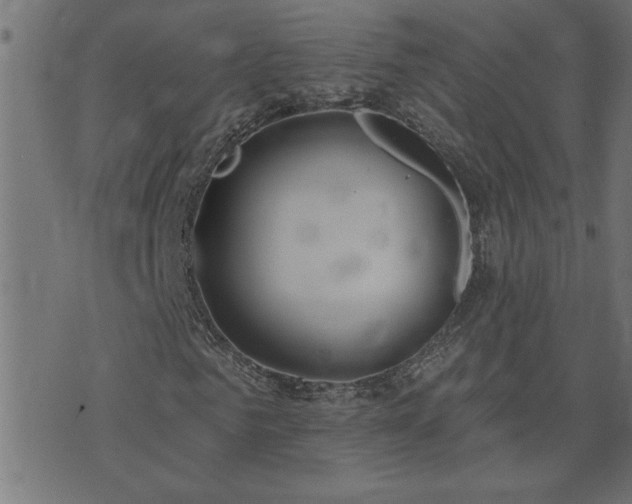 X0000071770961200606301151