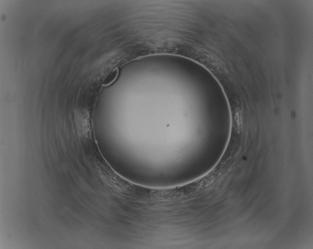 X0000071770963200606301151