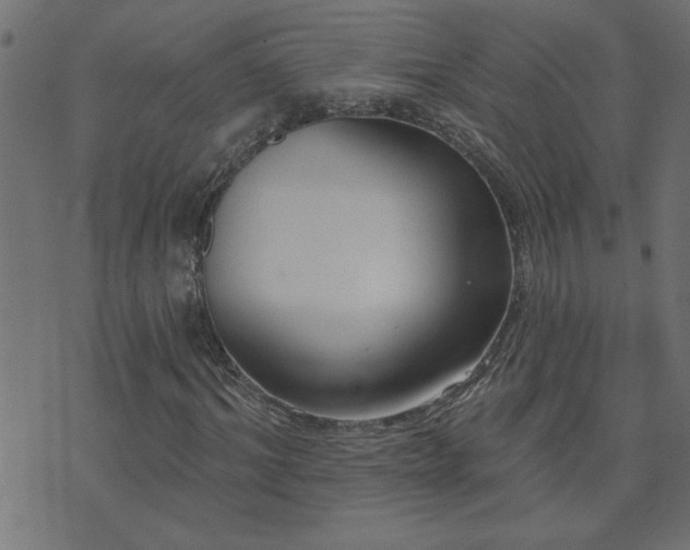 X0000071770964200606301151