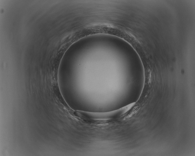 X0000071770965200606301151