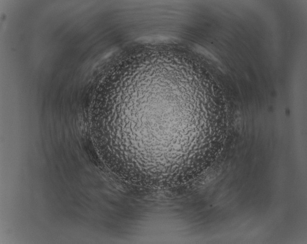 X0000071770966200606301151