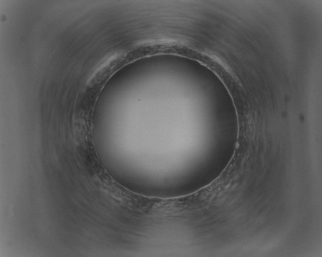 X0000071770967200606301151