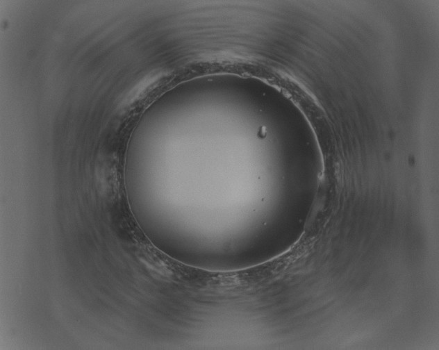 X0000071770968200606301151