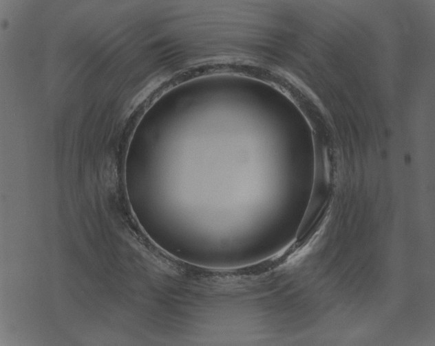 X0000071770969200606301151