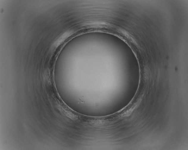 X0000071770970200606301151