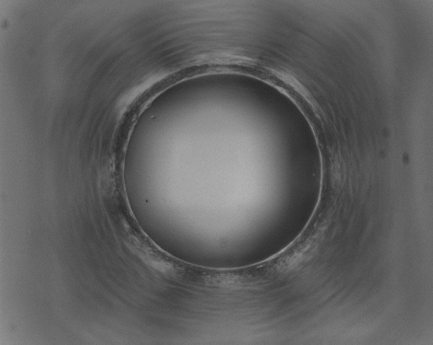 X0000071770971200606301151