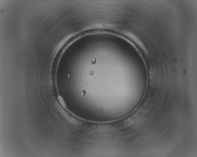 X0000071770972200606301151