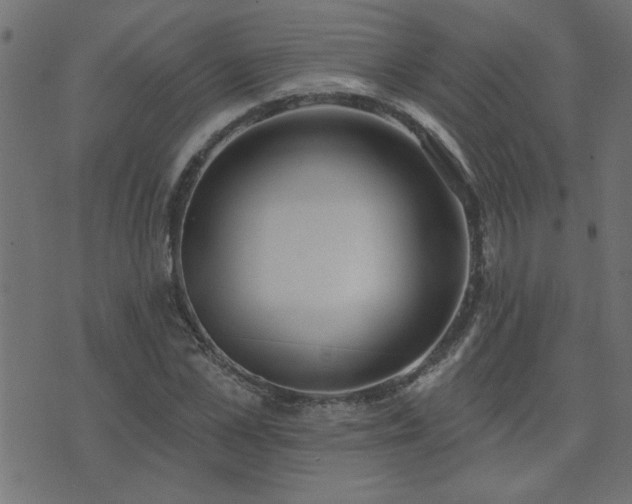 X0000071770973200606301151