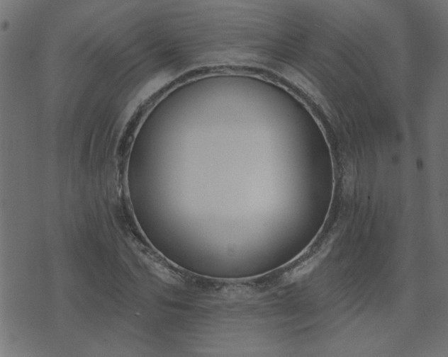 X0000071770974200606301151