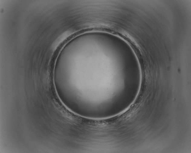 X0000071770975200606301151