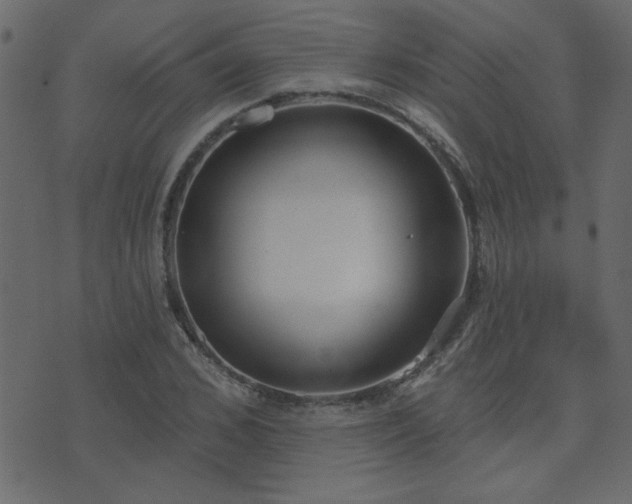 X0000071770976200606301151