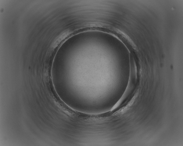 X0000071770977200606301151