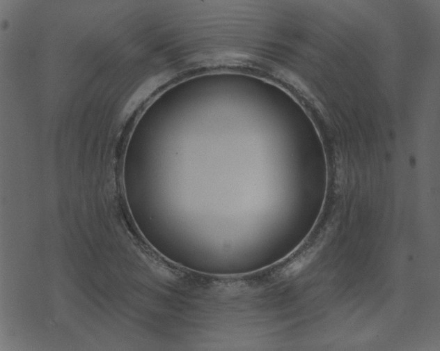 X0000071770978200606301151