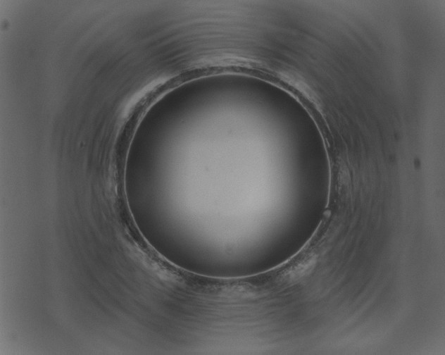 X0000071770979200606301151