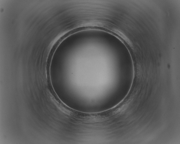 X0000071770980200606301151